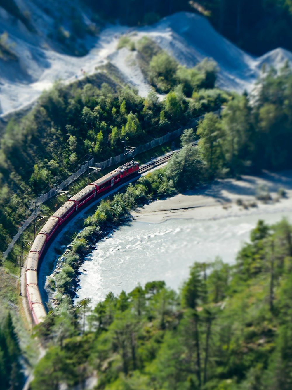 a train traveling through a lush green forest