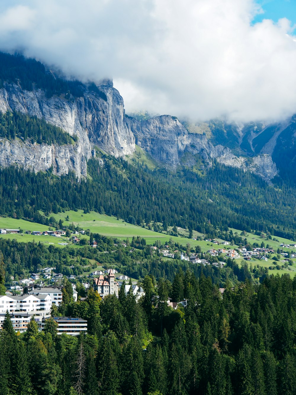 a scenic view of a valley with a mountain in the background