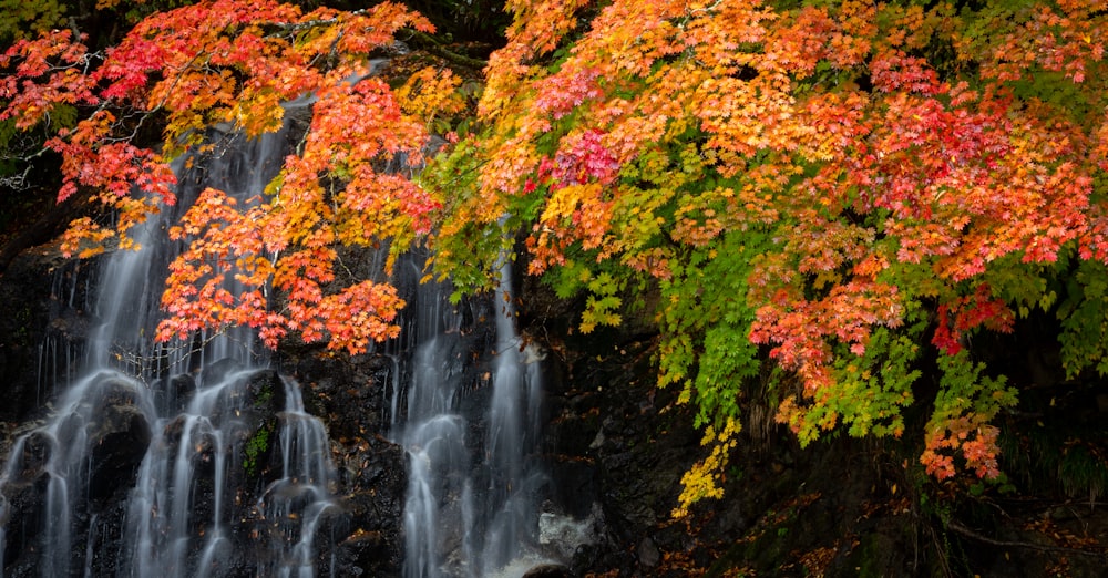 a waterfall surrounded by fall colored trees