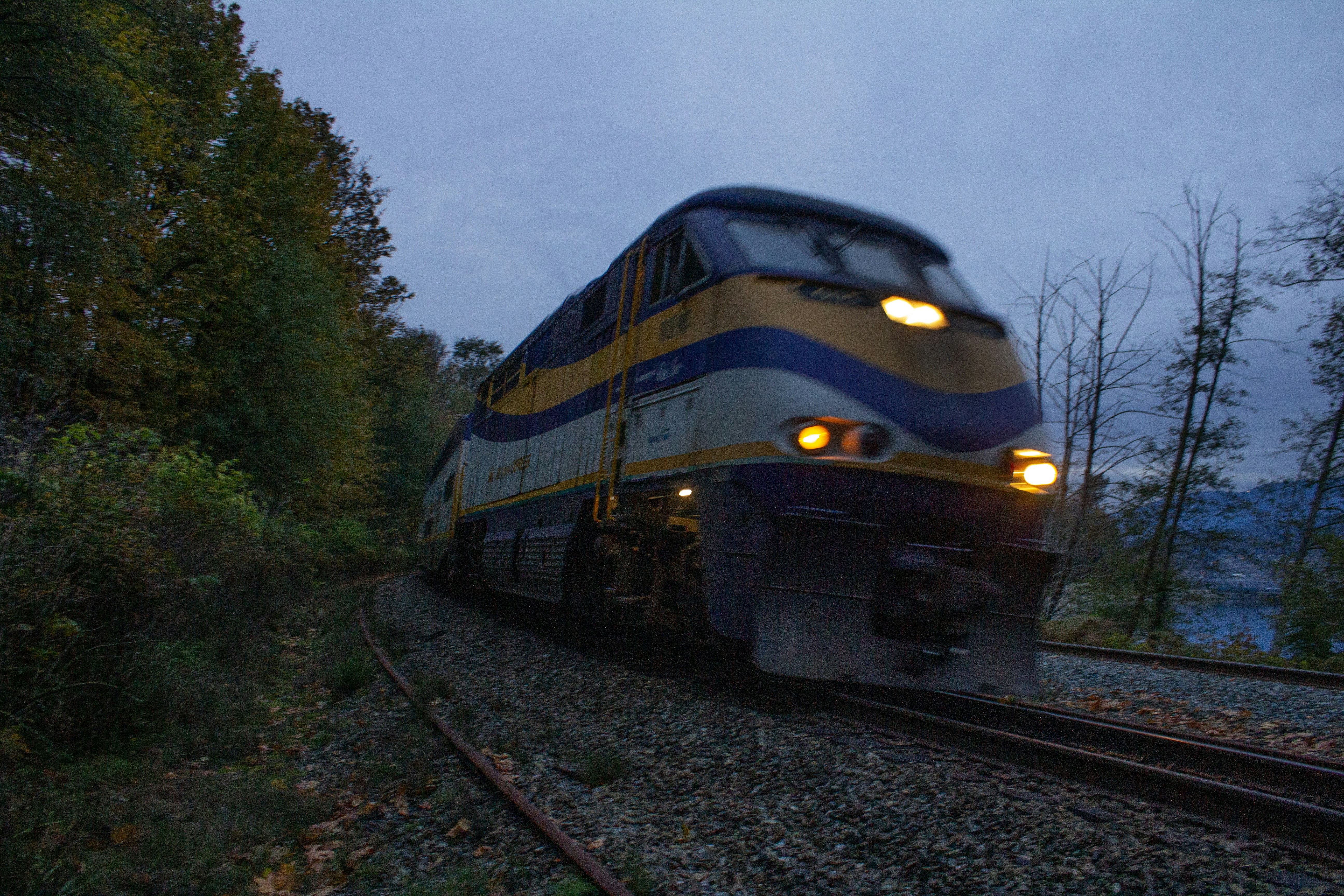 ein Zug, der auf Bahngleisen neben einem Wald fährt