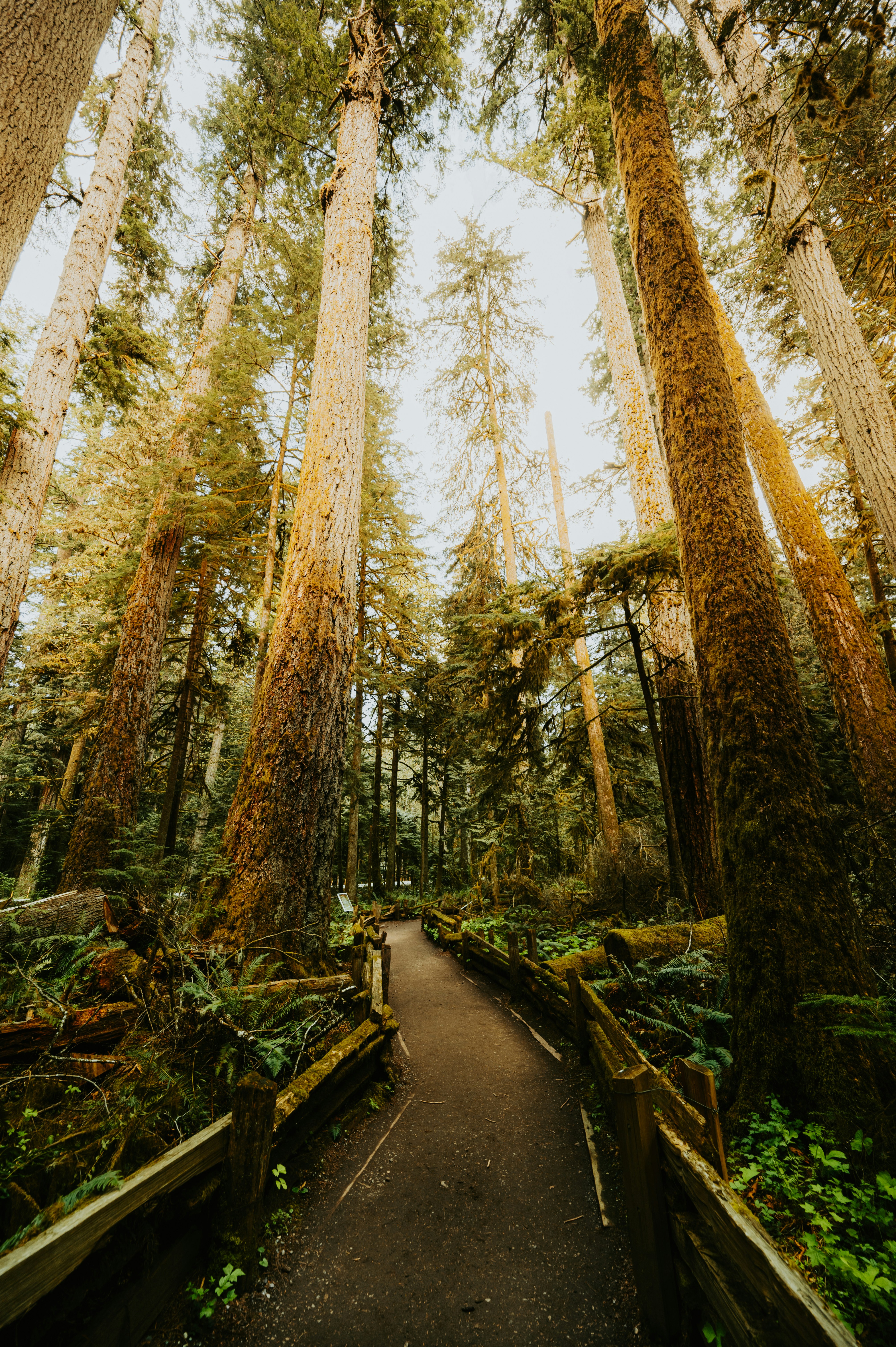 Photo by bylukemiller