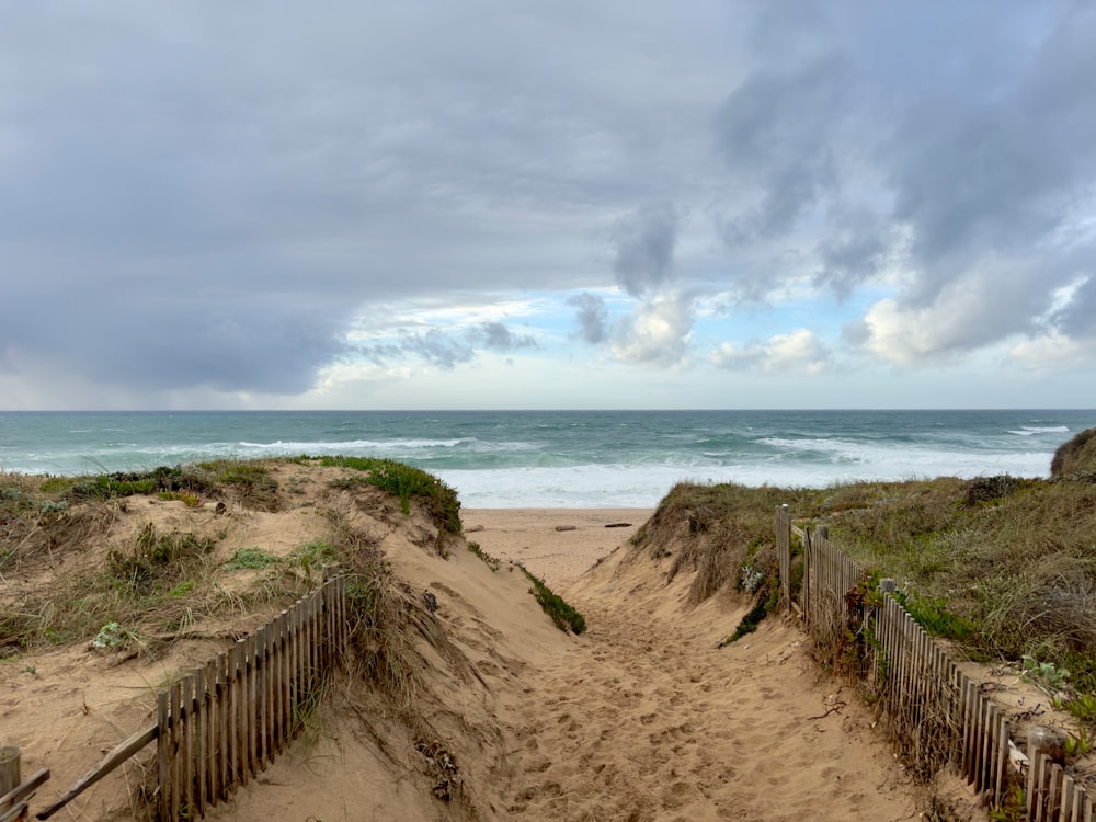 a path to the beach leading to the ocean