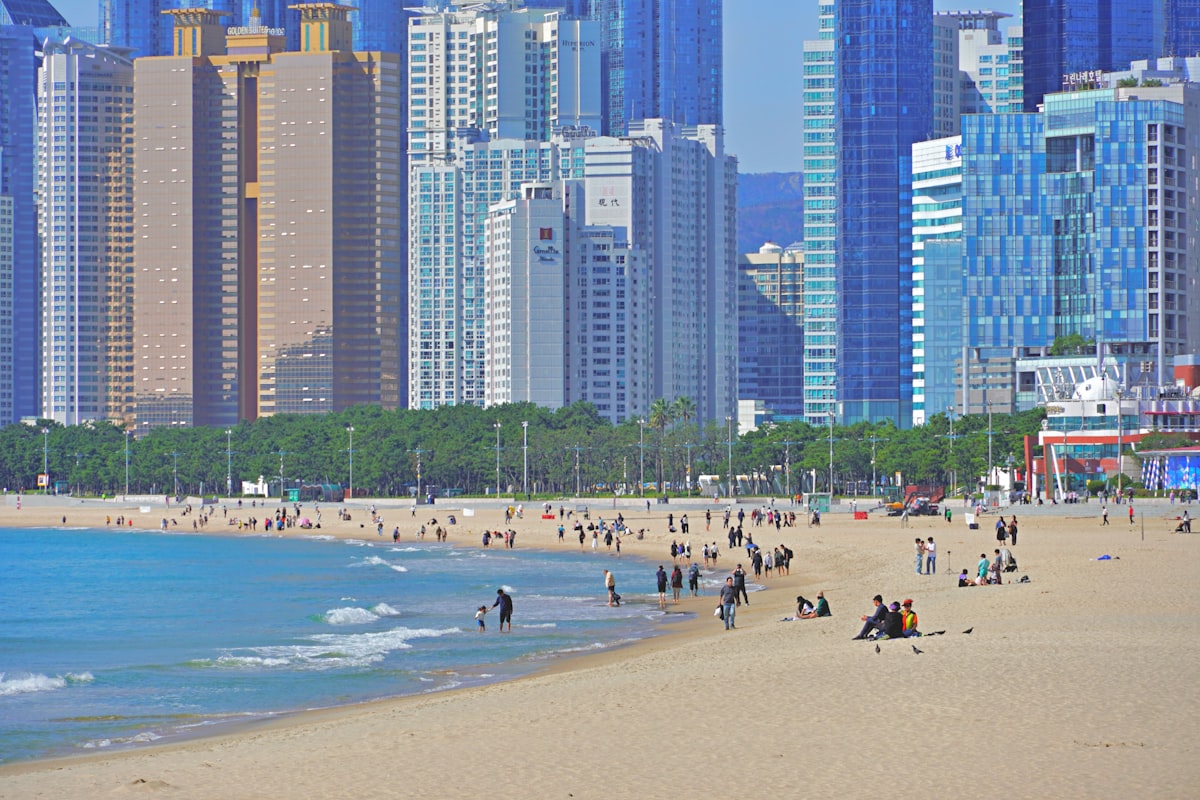 Busan July — a packed Haeundae Beach crowded with summer visitors against the high-rise skyline
