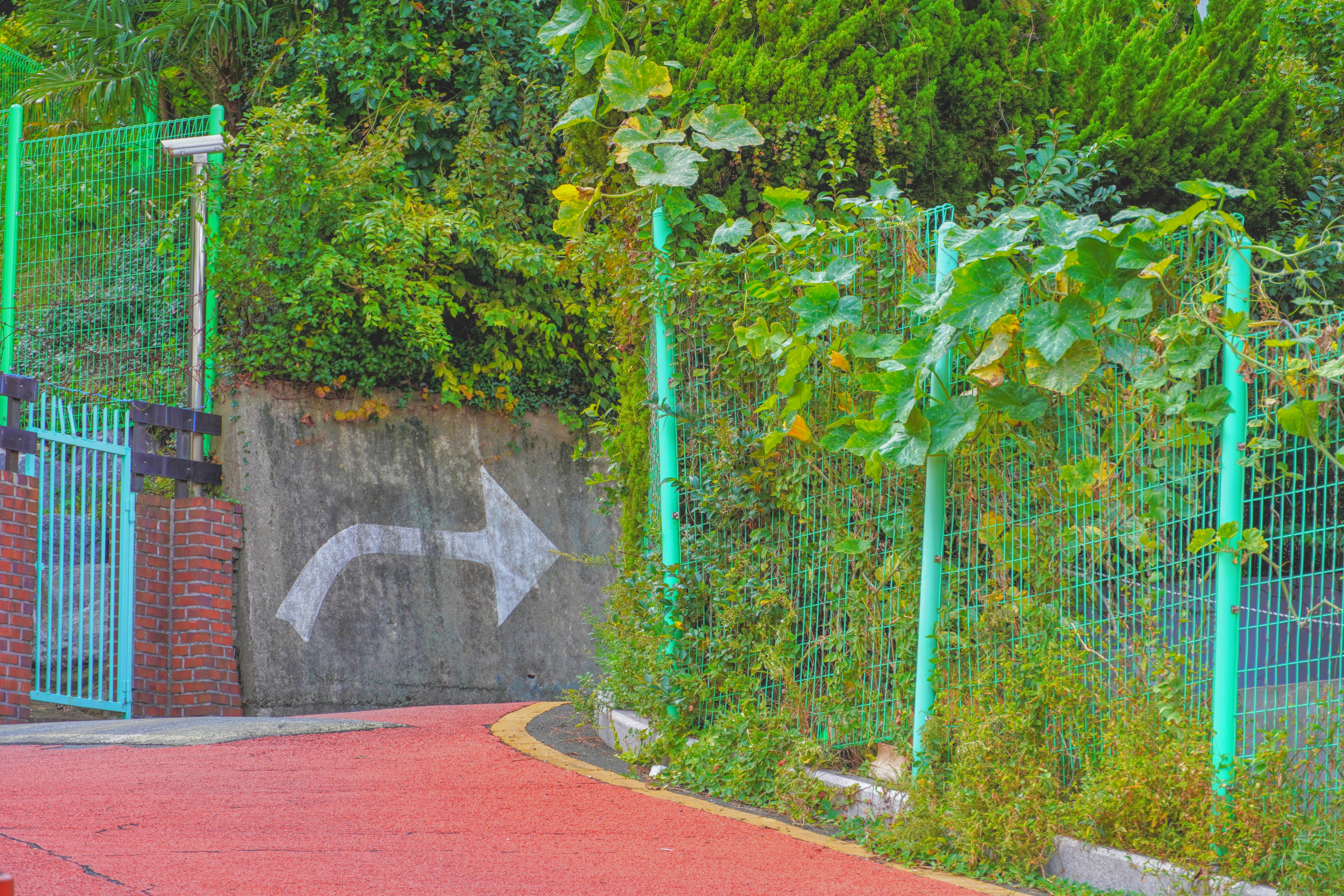 Day Trips from Seoul: Top 10 Destinations