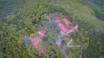 An aerial view of a forest area with dense green foliage surrounding several buildings with red roofs. A network of winding paths or roads can be seen leading into the forest and connecting the structures.
