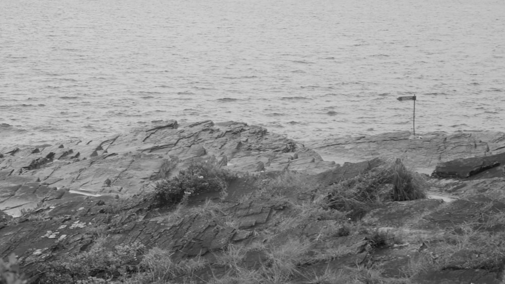 a black and white photo of a boat in the water