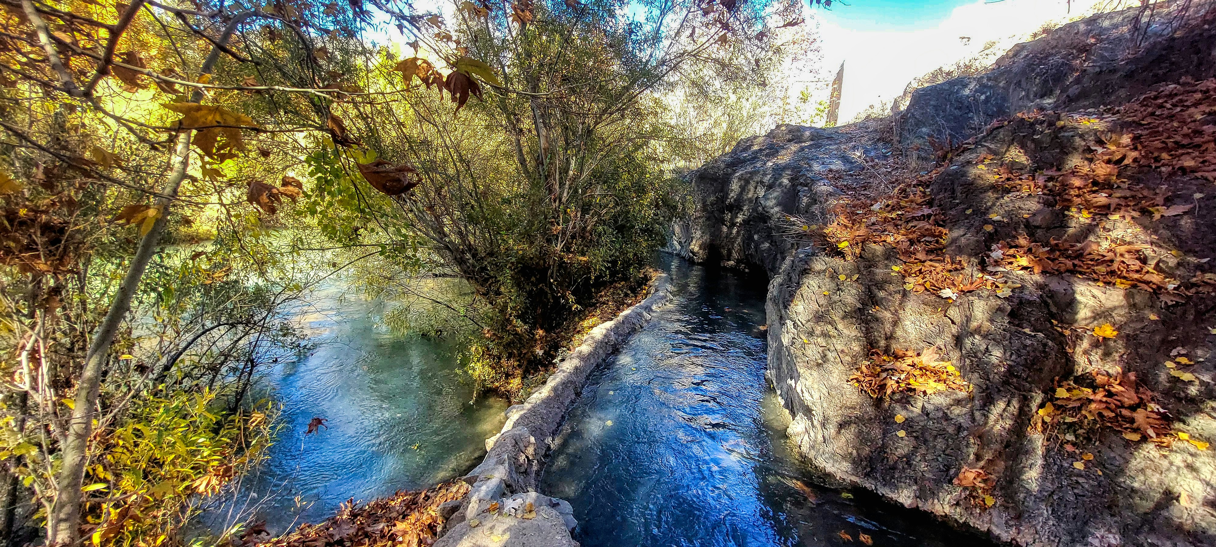 a river running through a lush green forest