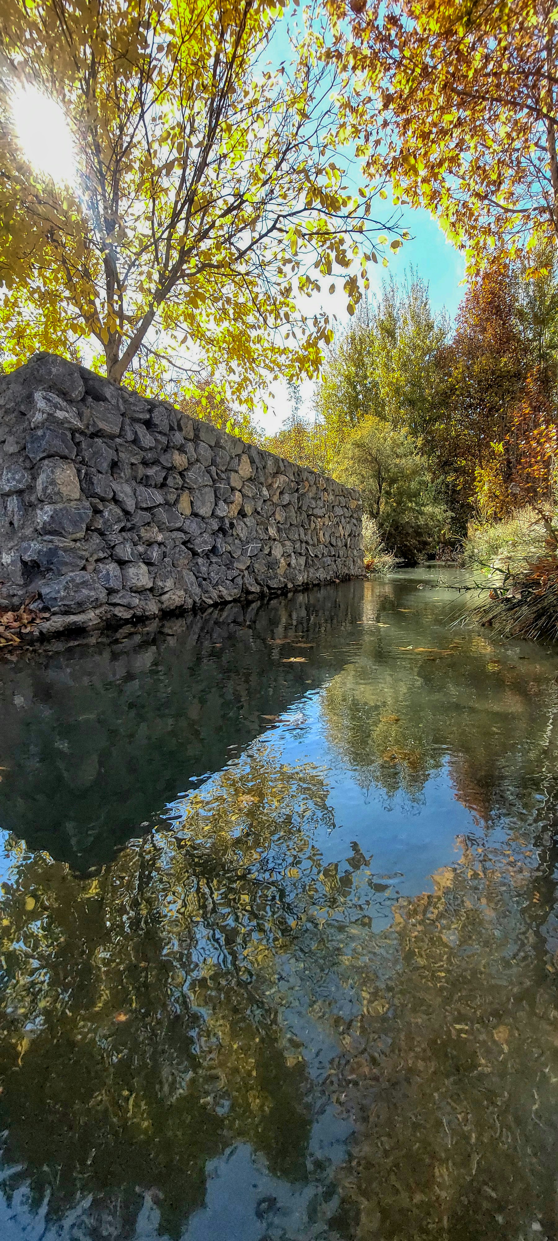 Photo by aliarjmandi