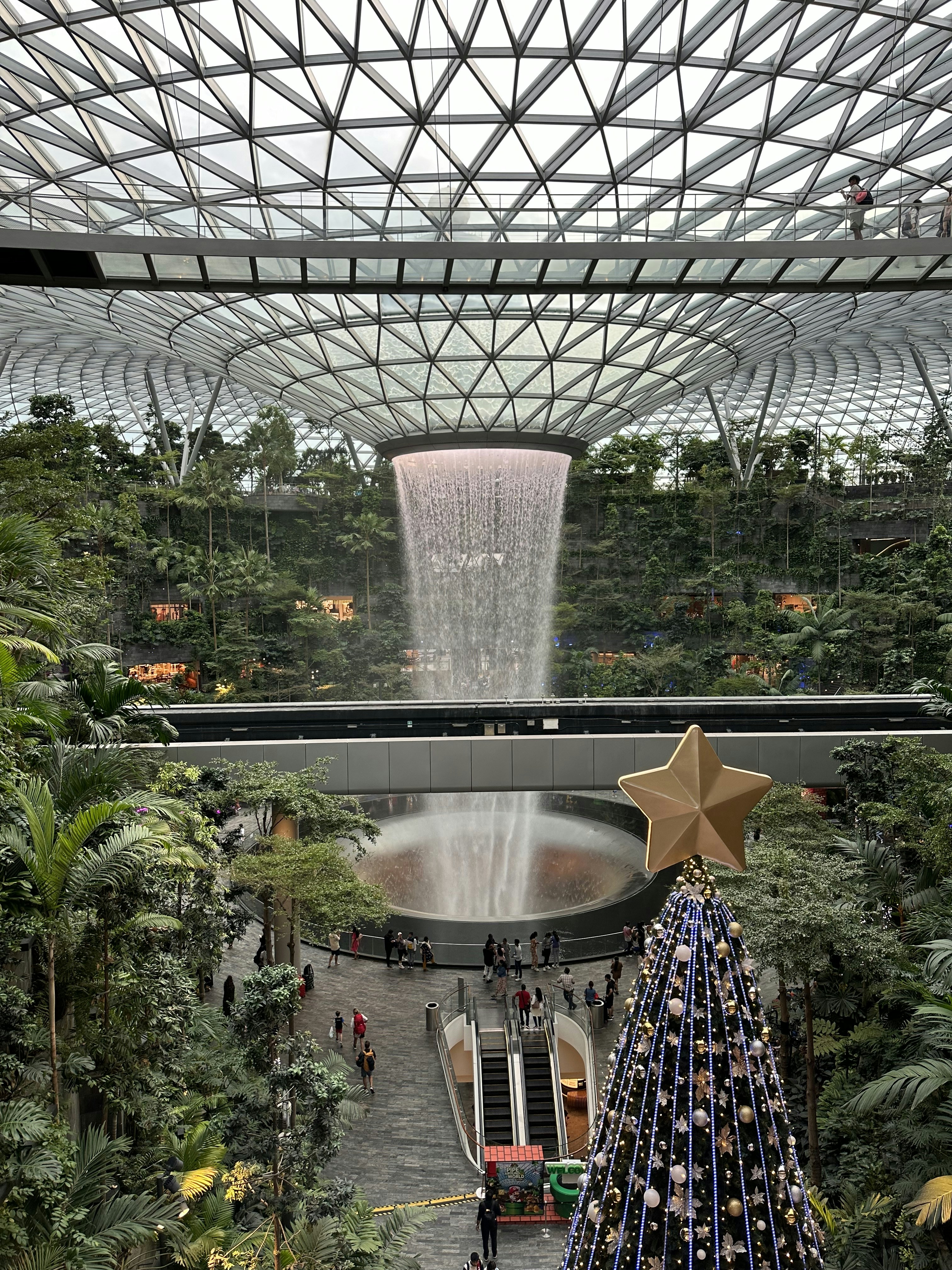 a christmas tree in the middle of a building