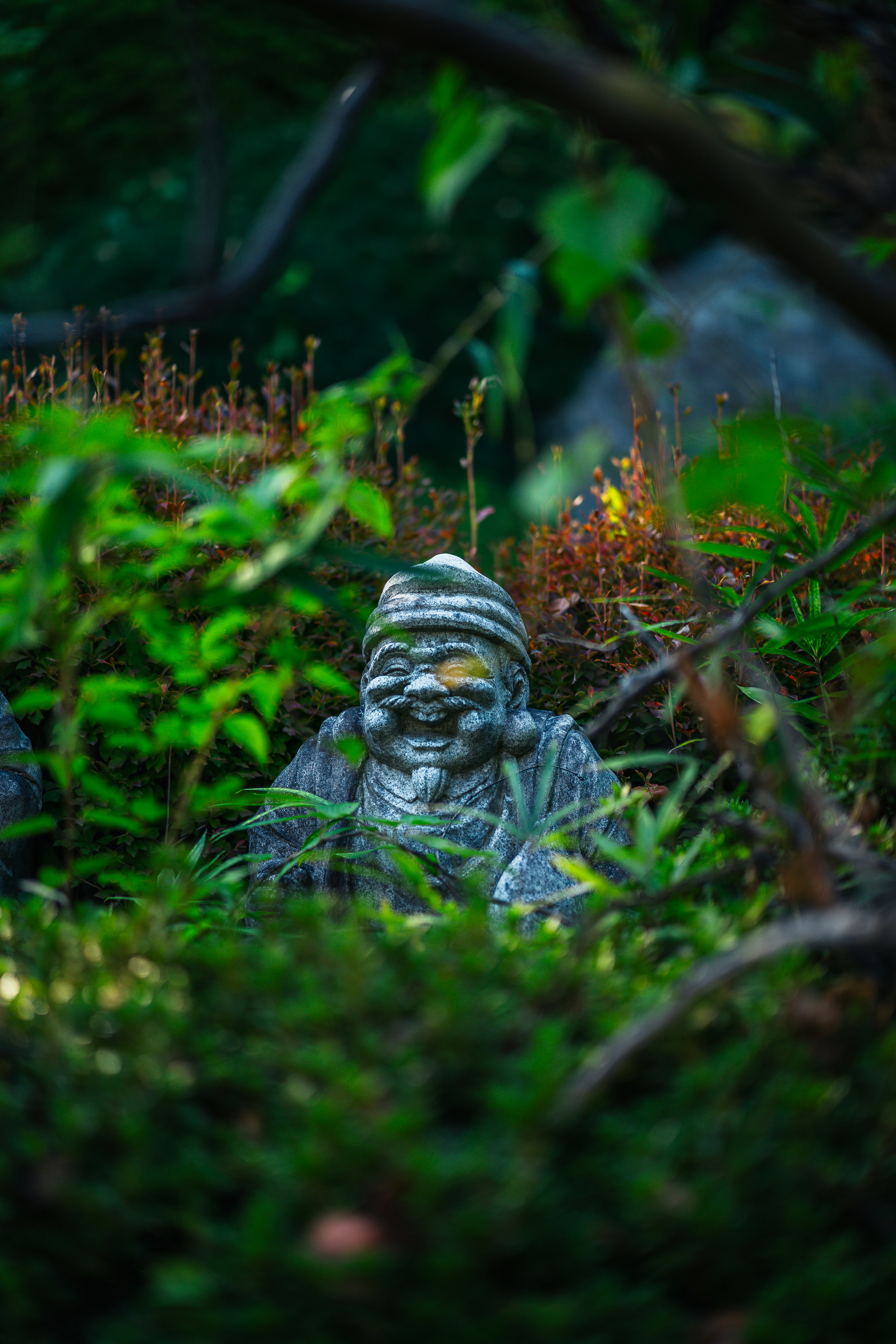 Photo by shields_mcmxcix