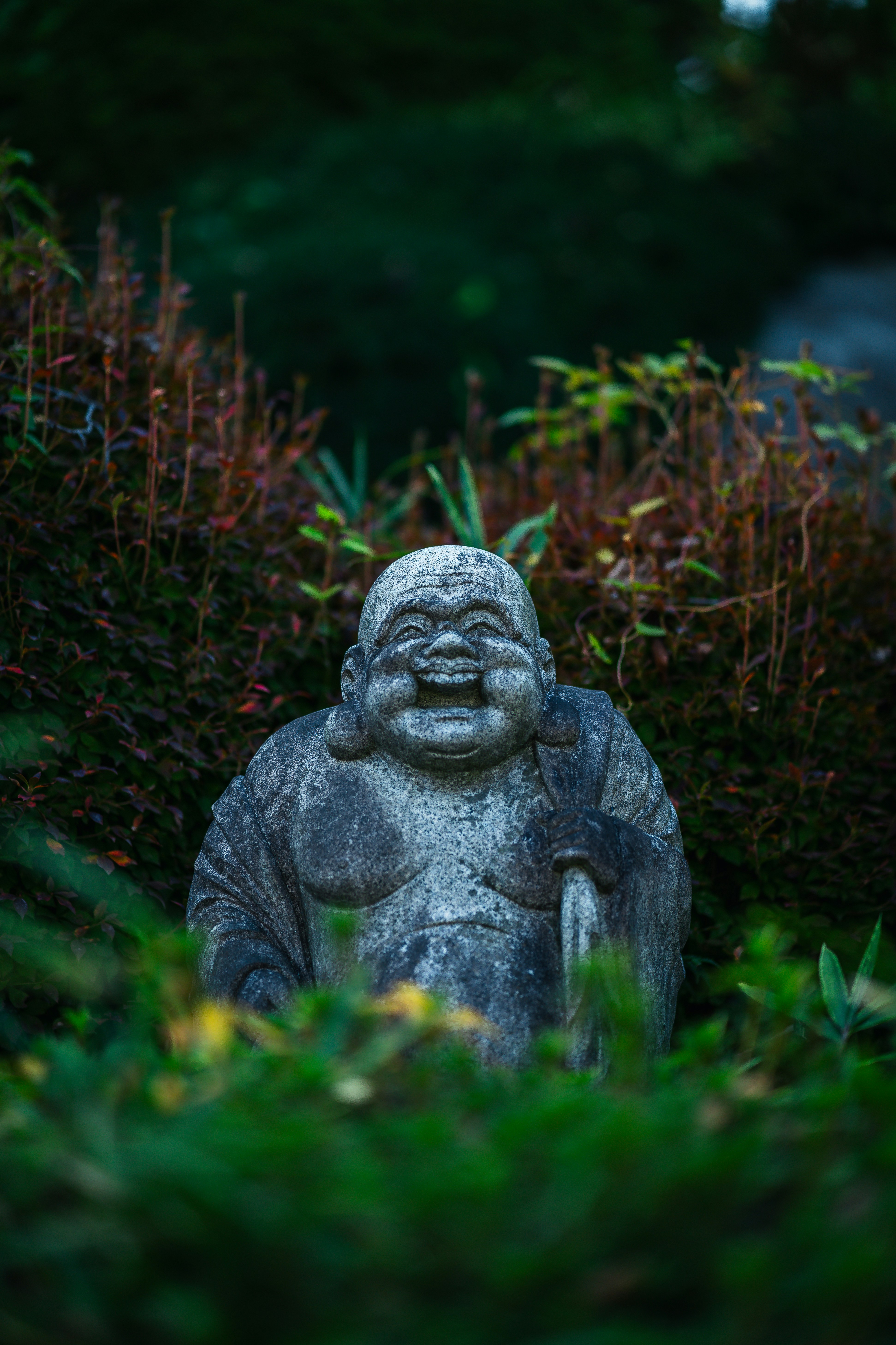 Photo by shields_mcmxcix