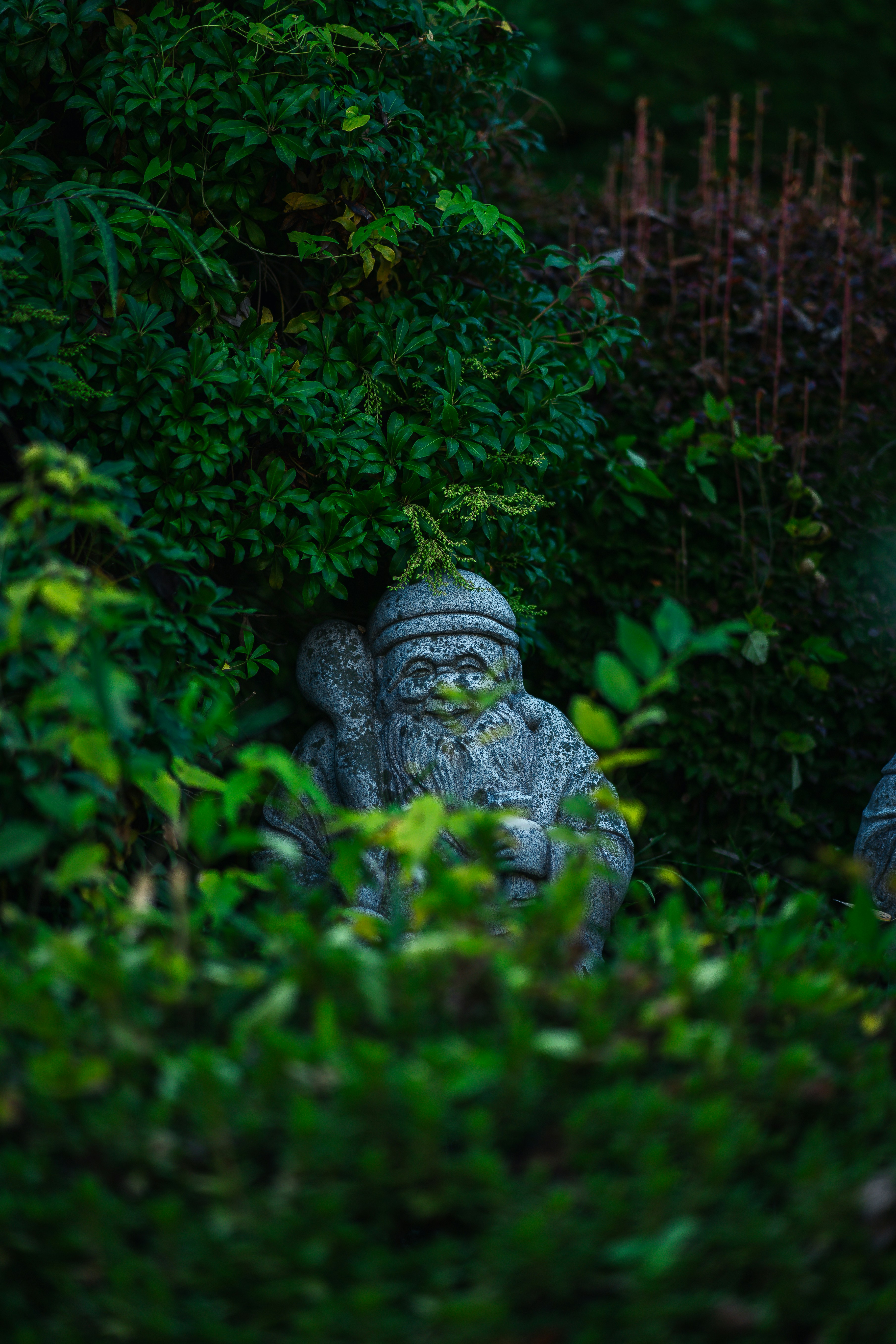 Photo by shields_mcmxcix