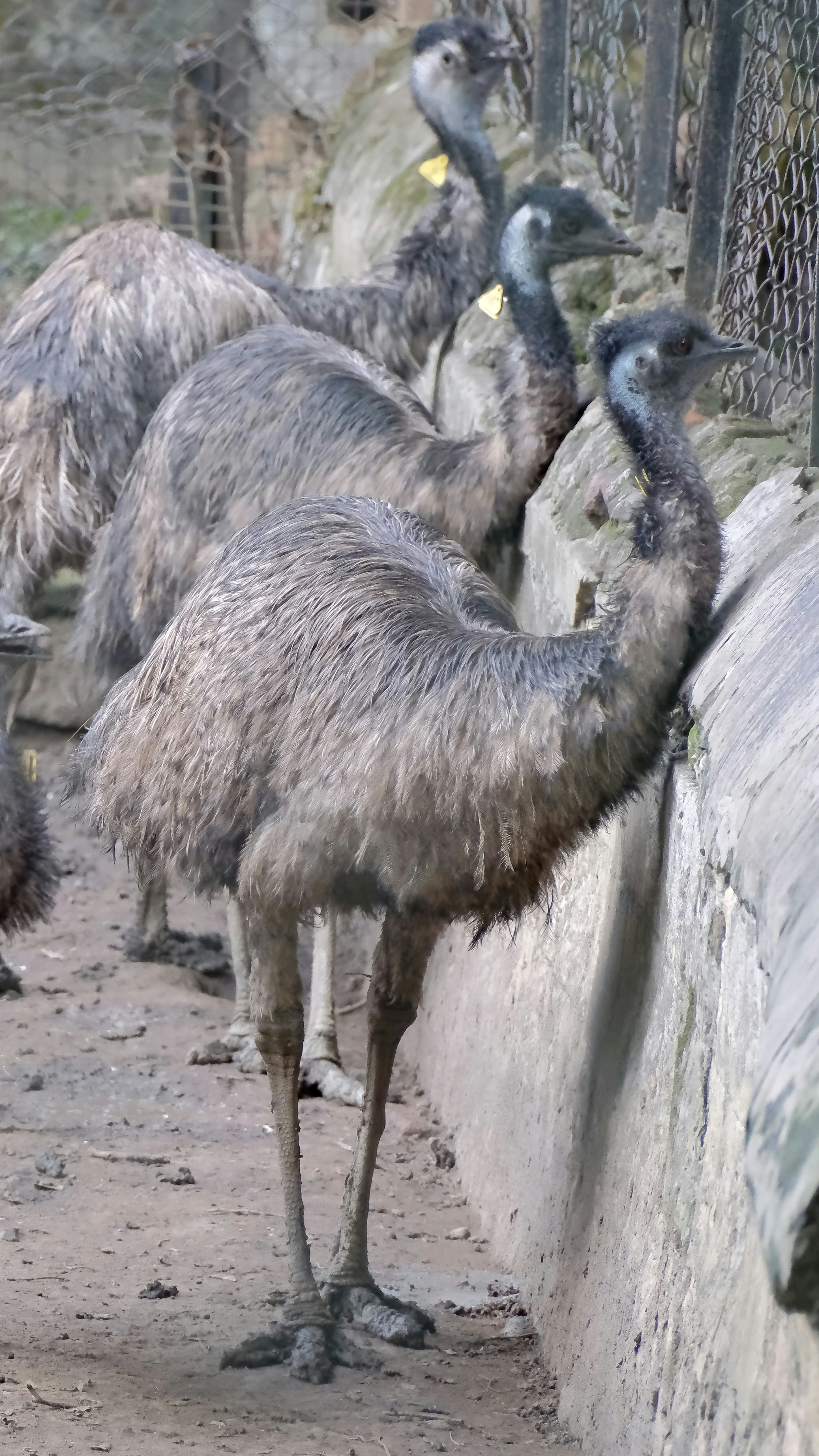 Photo by praneethgayam