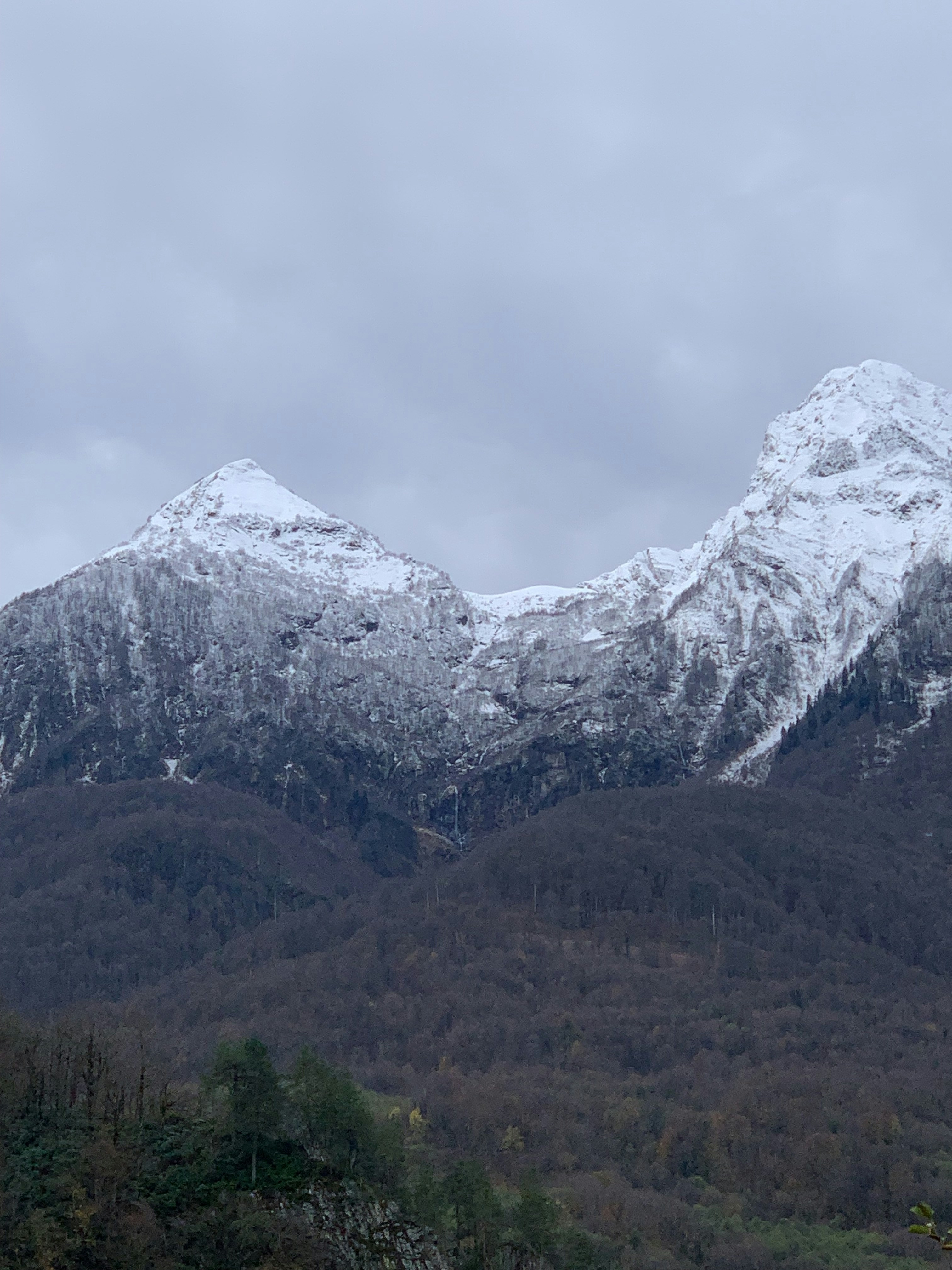 Photo by webdrawcolors