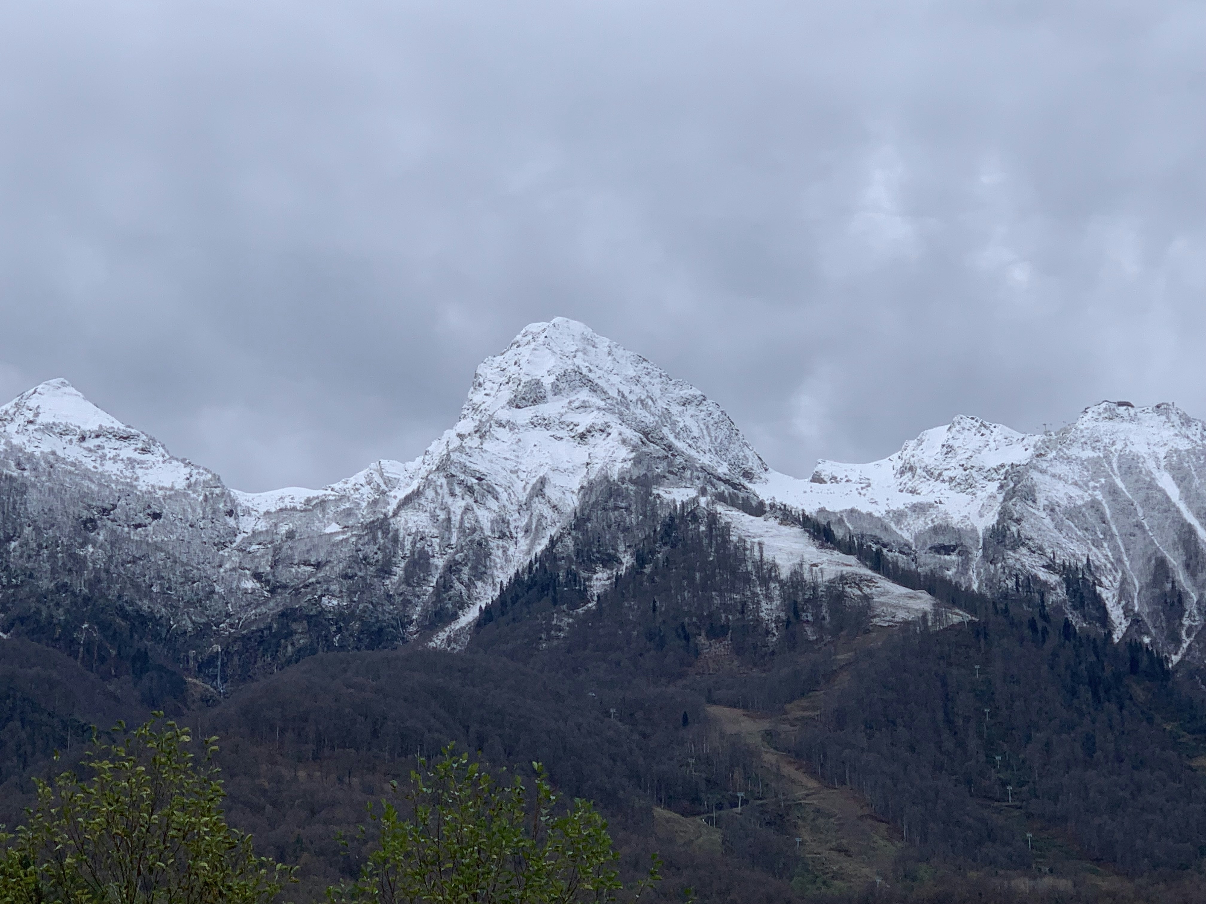 Photo by webdrawcolors