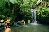 Group of travelers hiking near a waterfall surrounded by tropical forest.