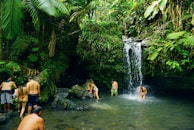 Smiling travelers exploring a hidden waterfall surrounded by dense tropical forest.