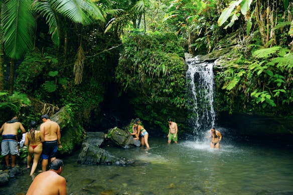 A group of people are gathered near a natural waterfall in a lush, green forest. Some are wading in the shallow water near the waterfall, while others are standing on rocks along the edge. The surroundings are dense with various types of vegetation, including large ferns and palm-like plants. The atmosphere appears relaxed and leisurely.