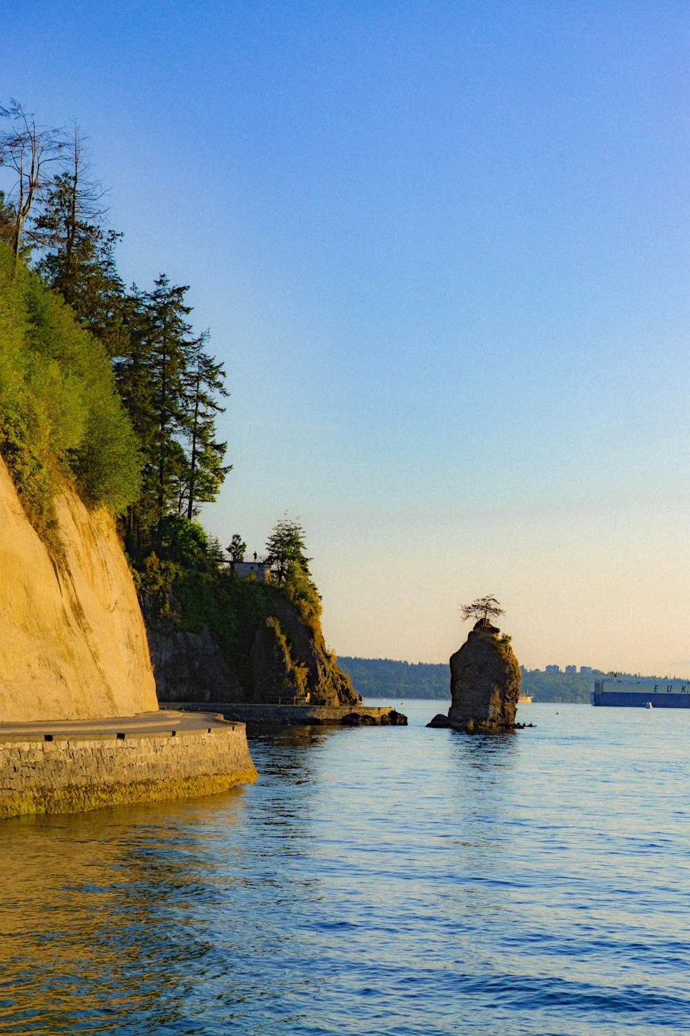 a large body of water surrounded by trees