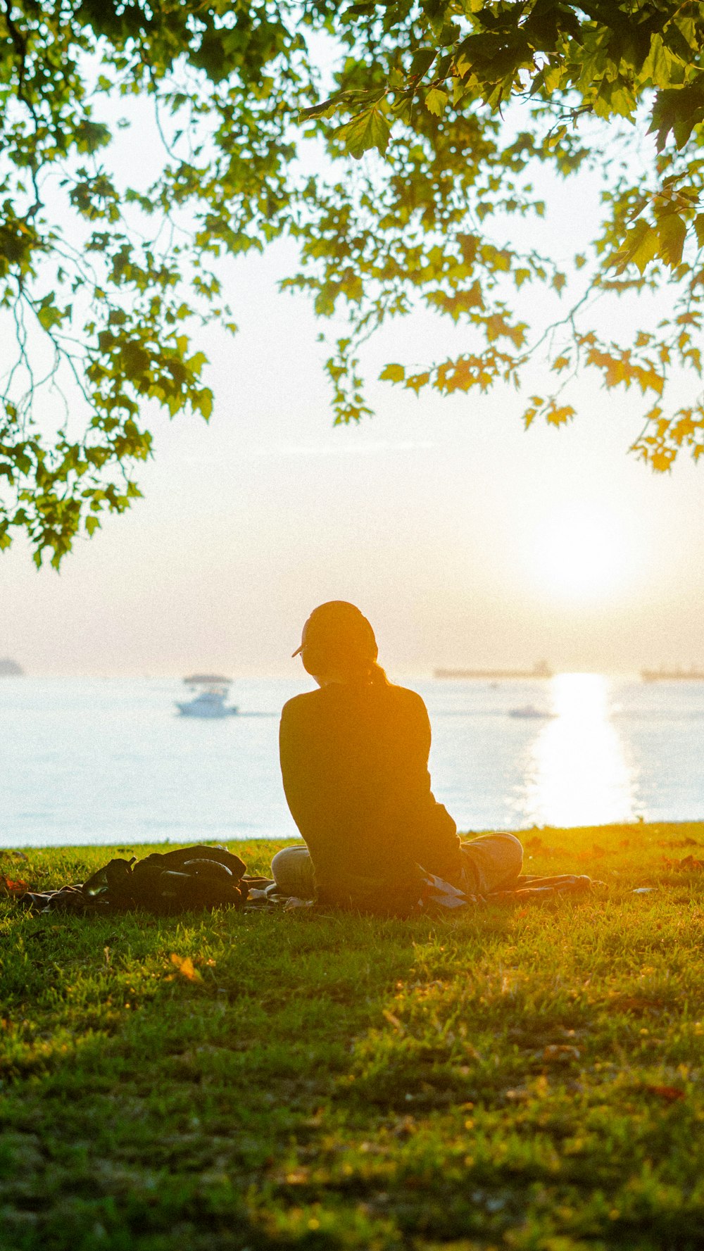 a person sitting on the grass under a tree