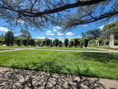Image showing a neatly trimmed garden with freshly cut grass and small trees.