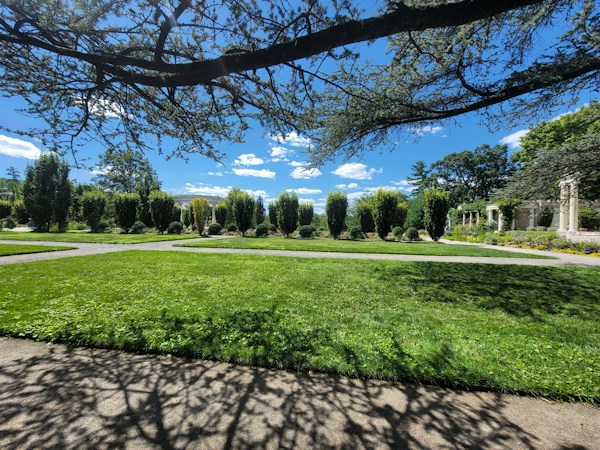 A well-maintained garden with lush green grass and neat rows of shrubs. The scene is framed by a large tree with sprawling branches casting shadows on the ground. In the distance, there are more trees and a building partially visible on the right side. The sky is clear with a few scattered white clouds, giving the image a bright and sunny atmosphere.