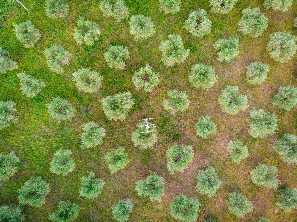 an aerial view of a grassy area with trees
