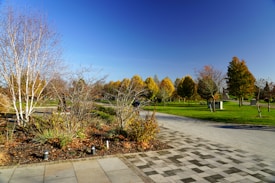 A serene park scene with a clear blue sky, vibrant autumnal trees, and a paved walkway. Leafless and colorful trees are scattered throughout a well-maintained grassy area, with some patches of fallen leaves visible on the ground.