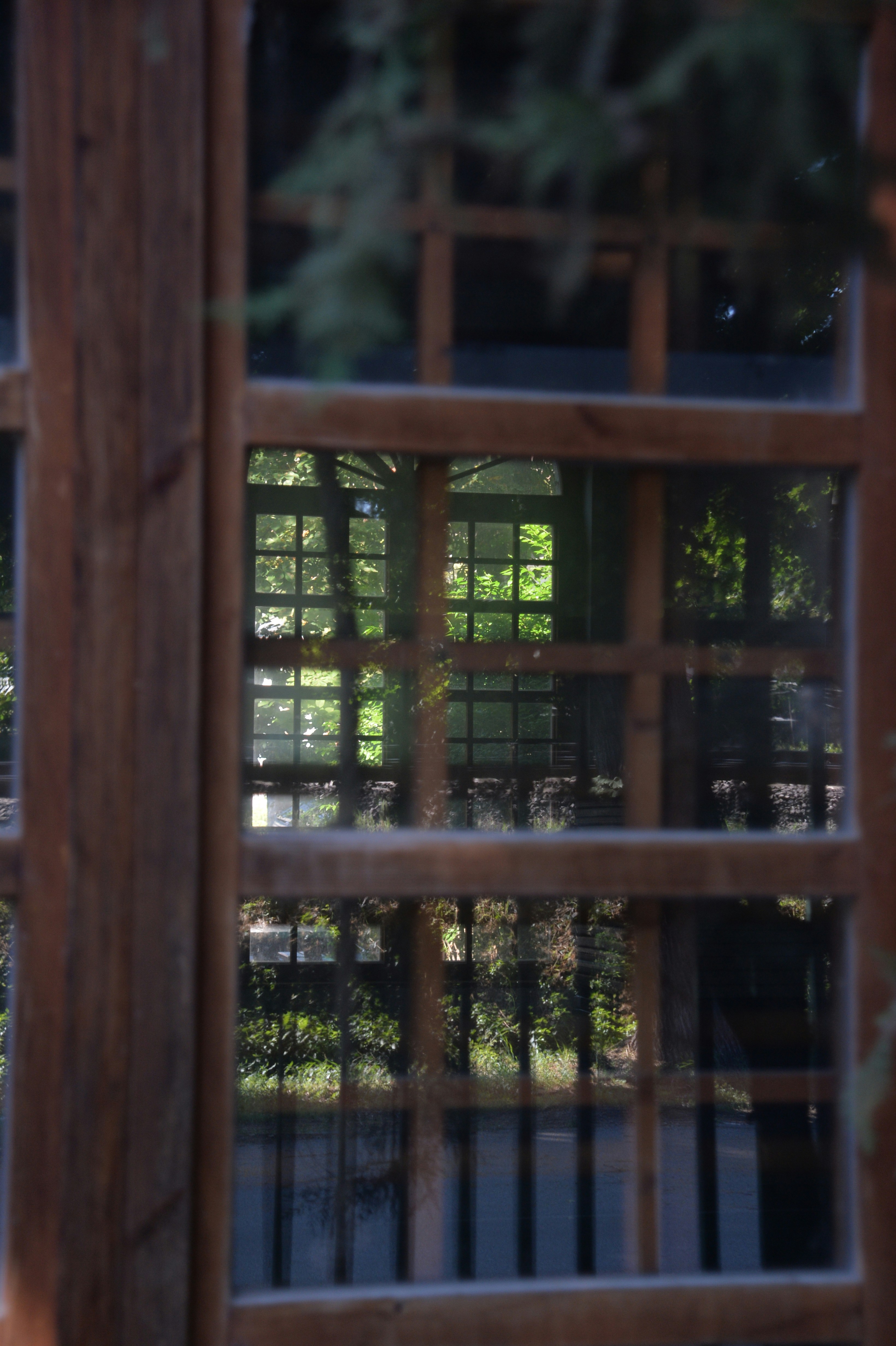 Photo by baliko_andras