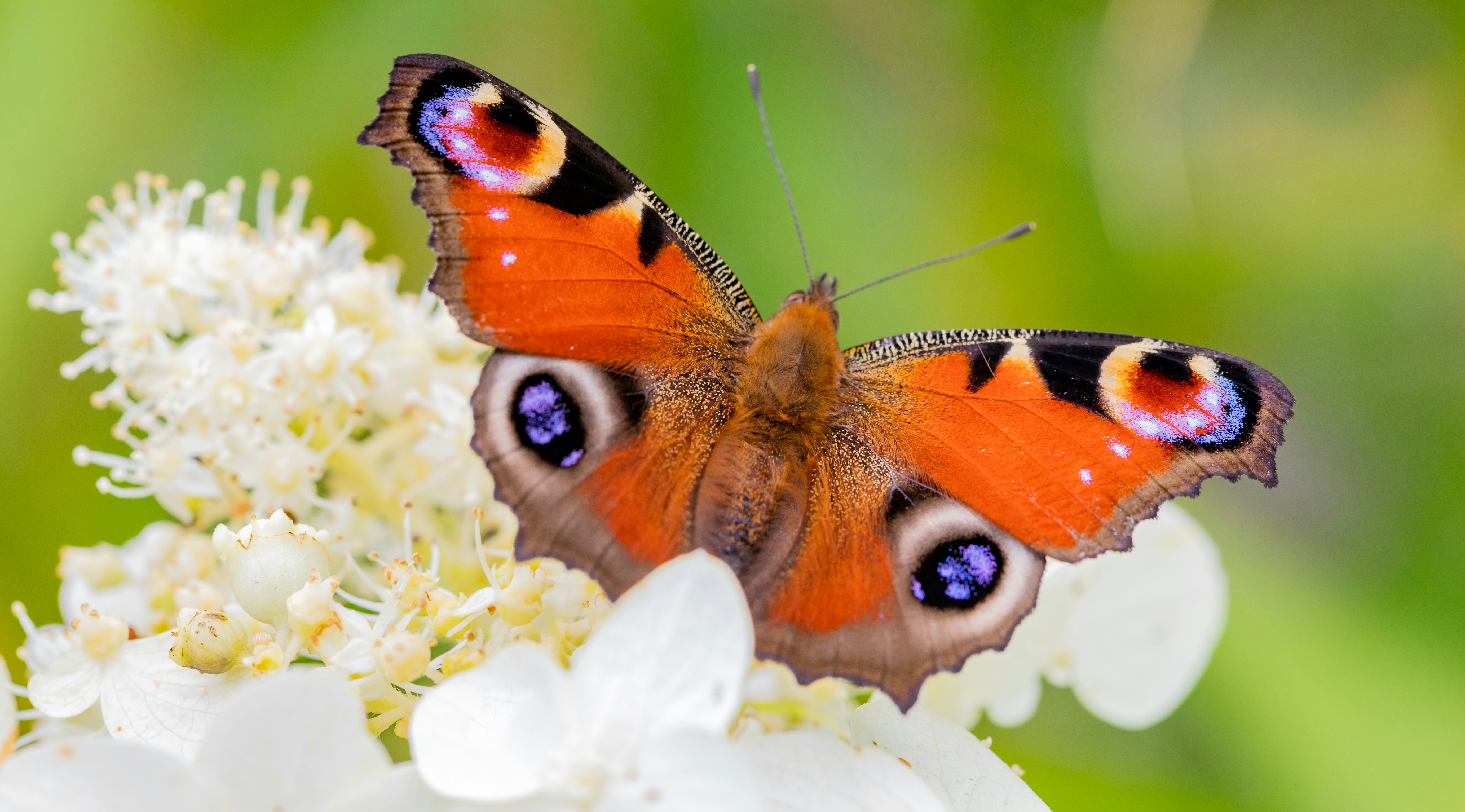 Photo by juntarou555