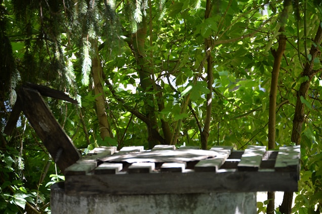 A wooden well cover among dense, lush green foliage and sunlit tree branches. Sunlight filters through the leaves, creating dappled light patterns on the structures.