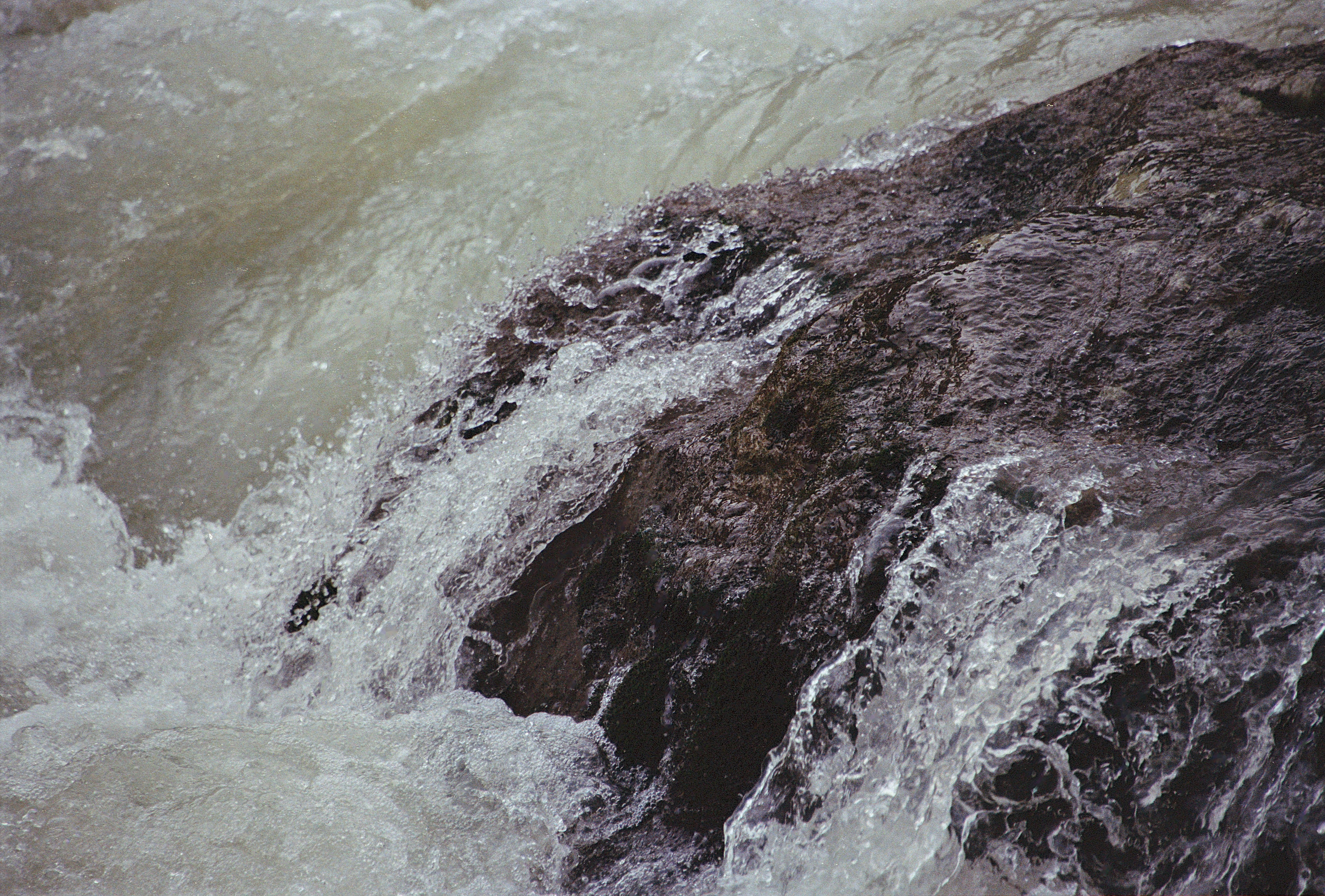 Photo by atulvi