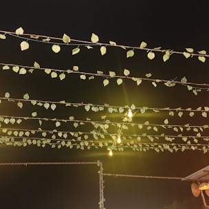 Strings of lights and decorative leaves are suspended above against a dark night sky. The warm glow from the bulbs creates a cozy atmosphere.
