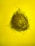 A large, intricately woven bird's nest composed of dry twigs and branches sits against a bright yellow background. The nest is teardrop-shaped, with twigs radiating outward in a chaotic yet purposeful pattern.