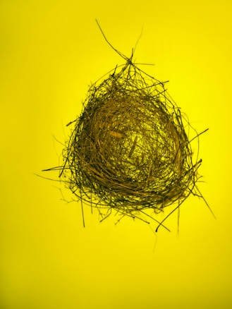 A large, intricately woven bird's nest composed of dry twigs and branches sits against a bright yellow background. The nest is teardrop-shaped, with twigs radiating outward in a chaotic yet purposeful pattern.