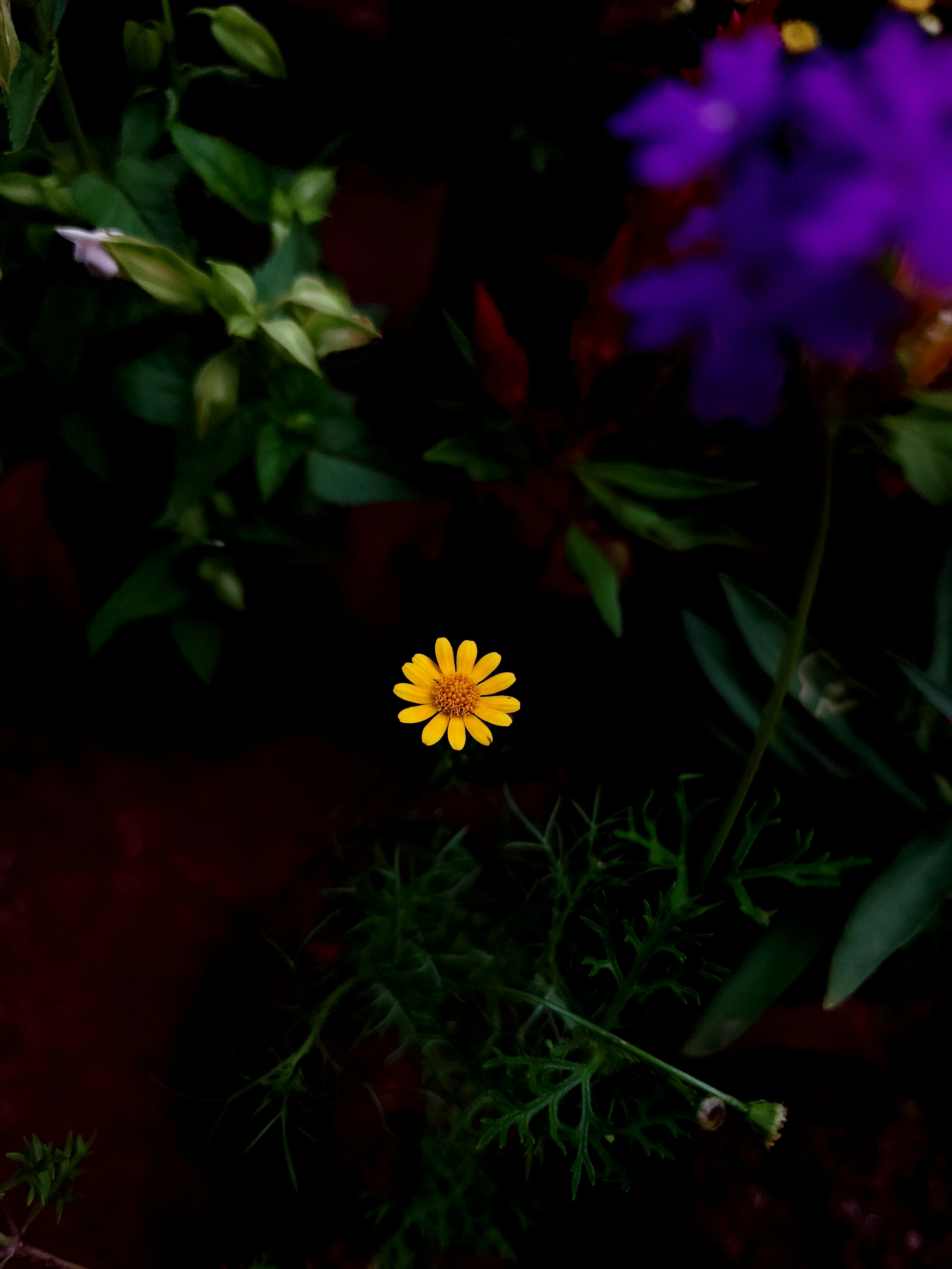 Photo by mrinalrajac