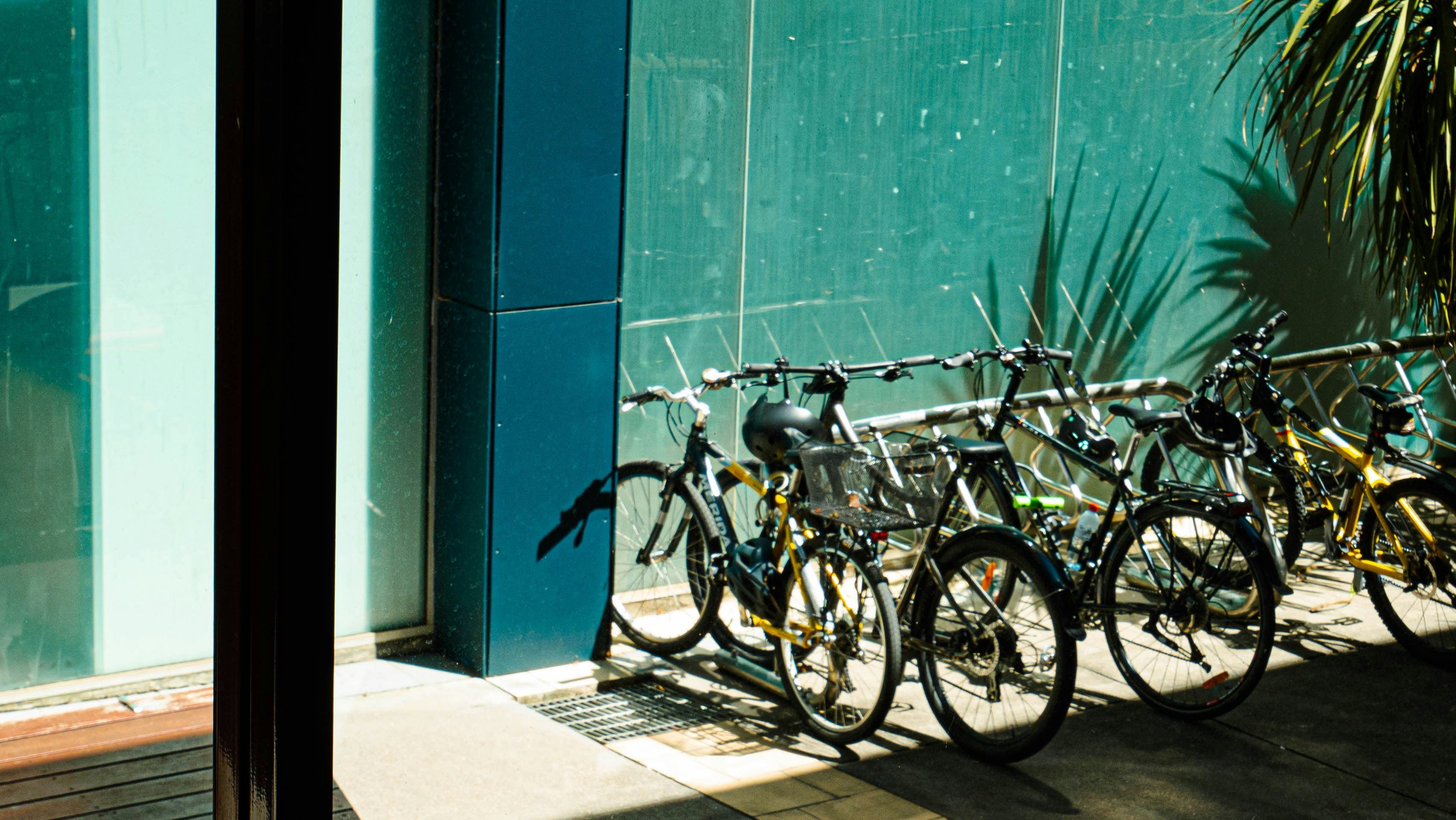 Photo by maivophucthanh