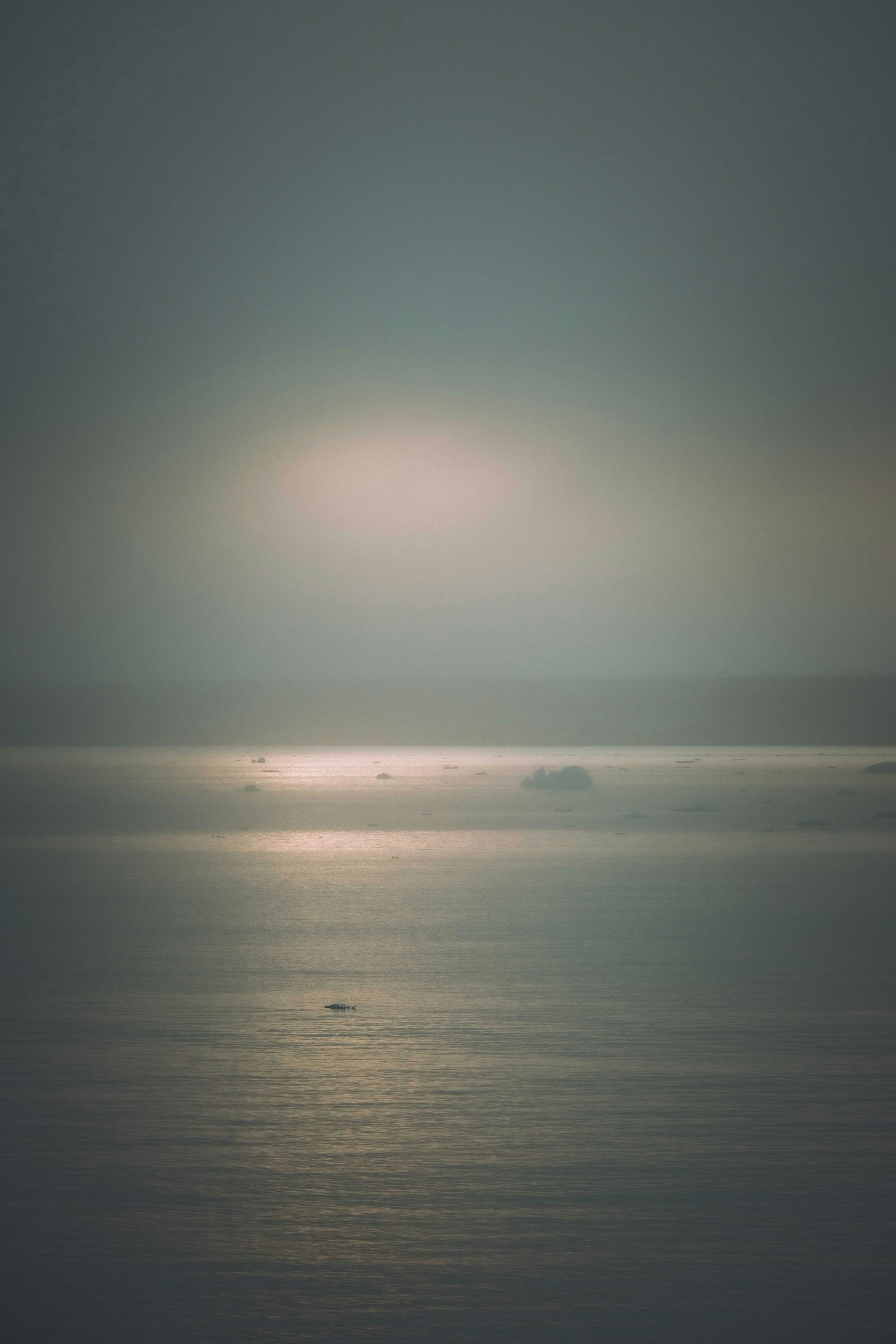 Photo by francesco_ungaro