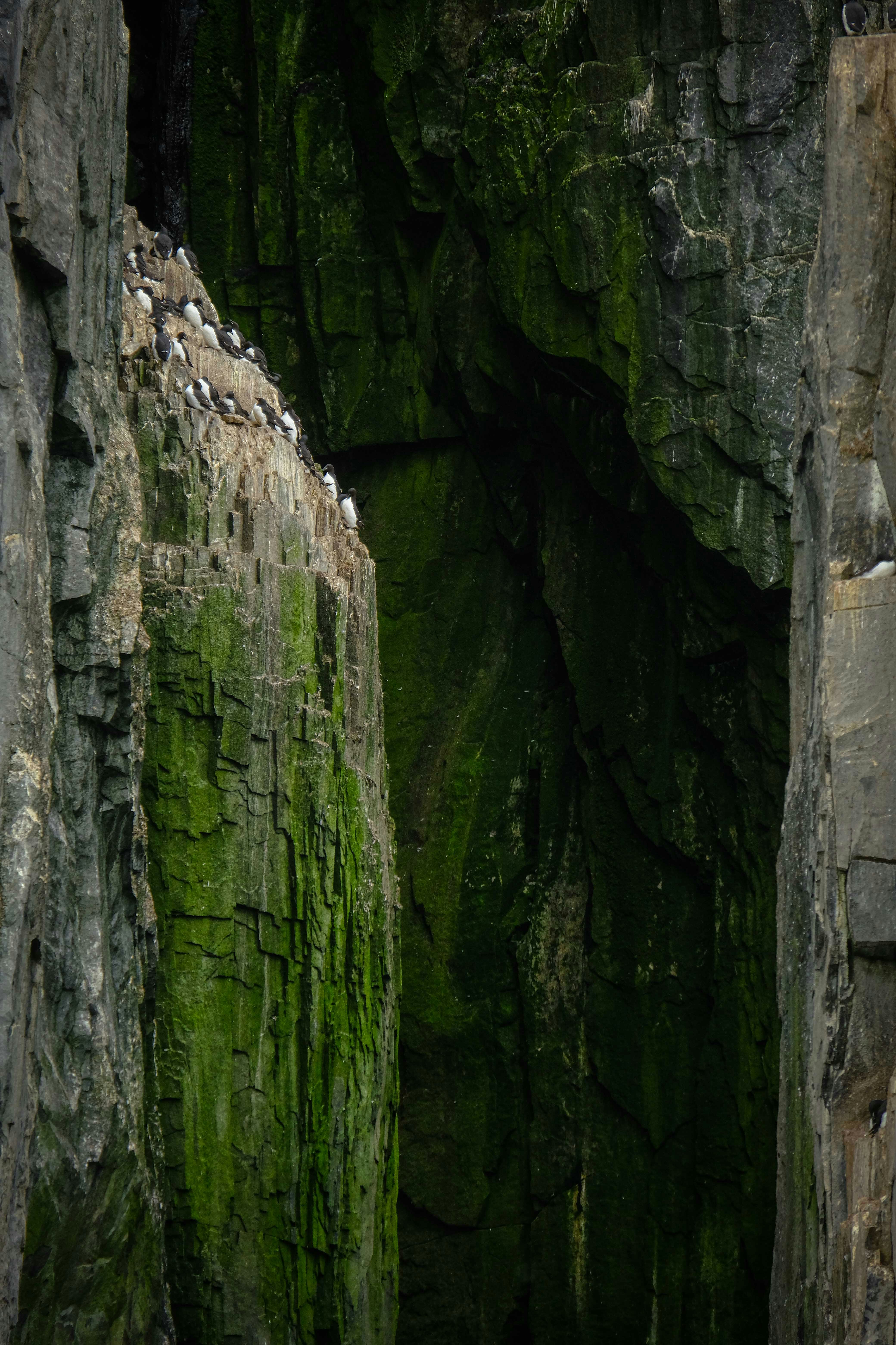 Photo by francesco_ungaro