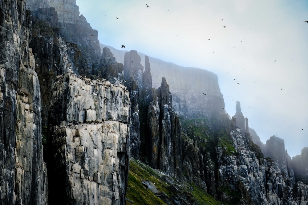 a group of birds flying over a rocky cliff