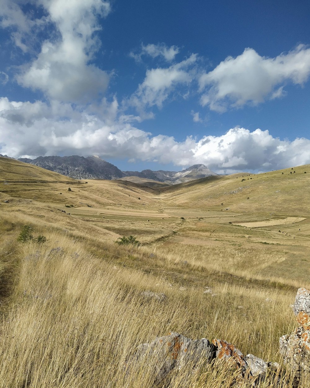 a grassy field with mountains in the background