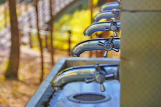 Several metal faucets are aligned in a row on a communal sink setup, with a blurred natural background featuring trees and sunlight.
