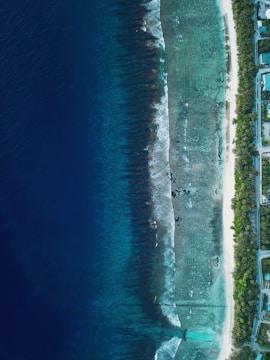 Aerial view of a tropical coastline featuring deep blue waters transitioning to lighter turquoise near the shore with visible coral reefs. The shoreline is lined with a narrow strip of white sand and lush greenery including palm trees. There are some small structures or buildings nestled among the trees along the coast.