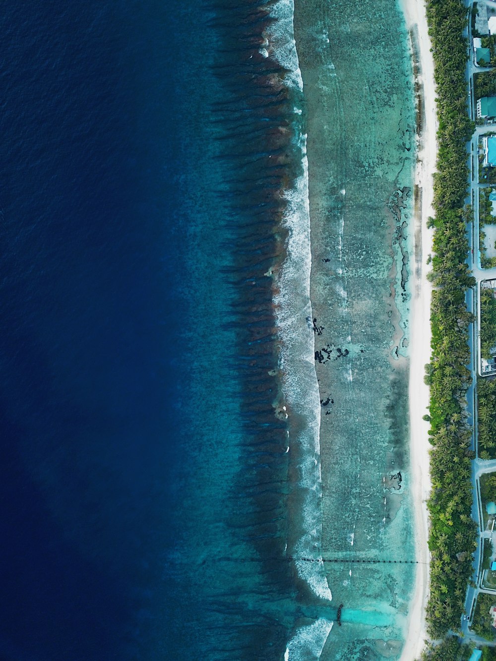 an aerial view of a beach and a body of water