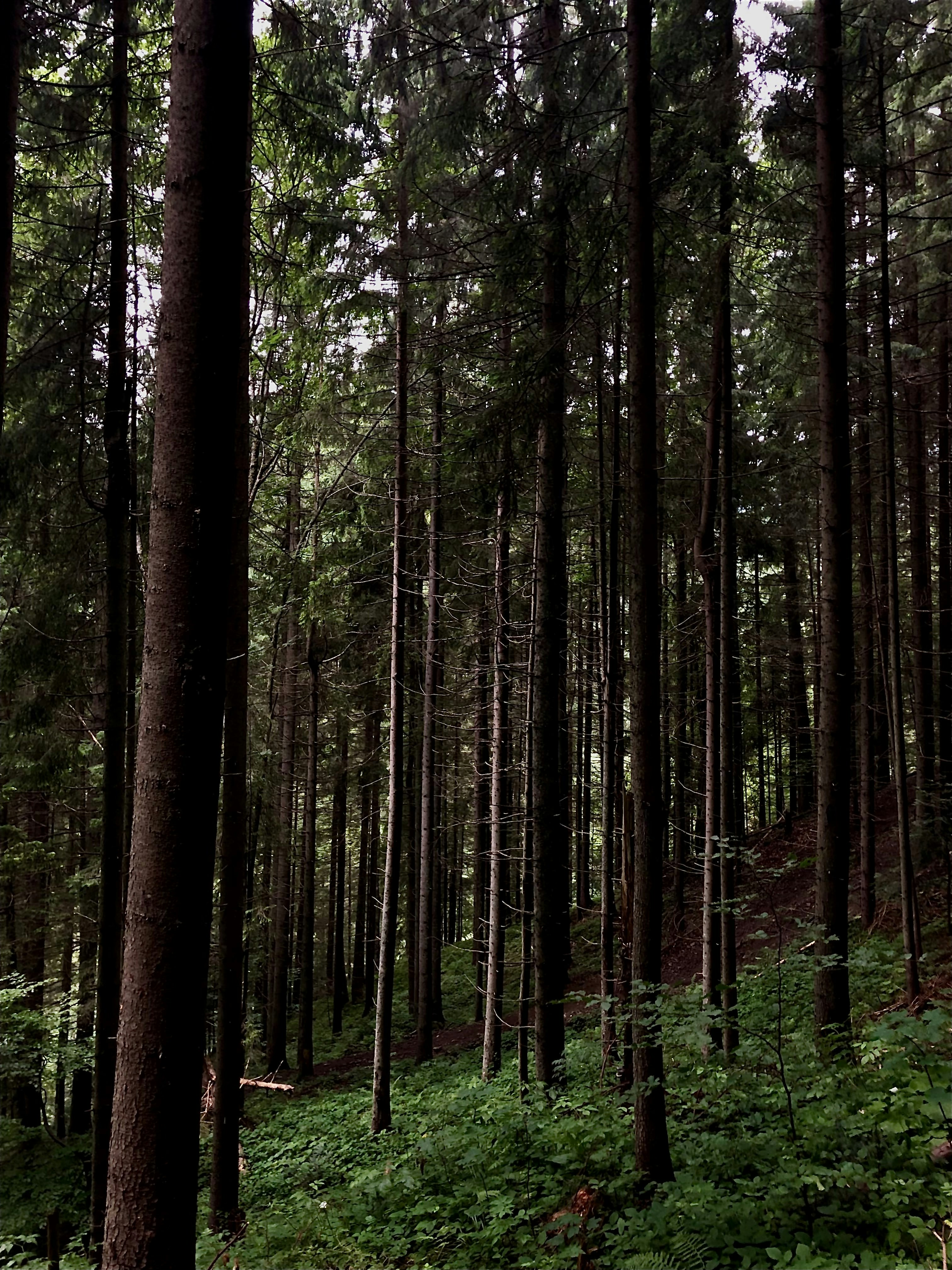 Photo by espoliakova