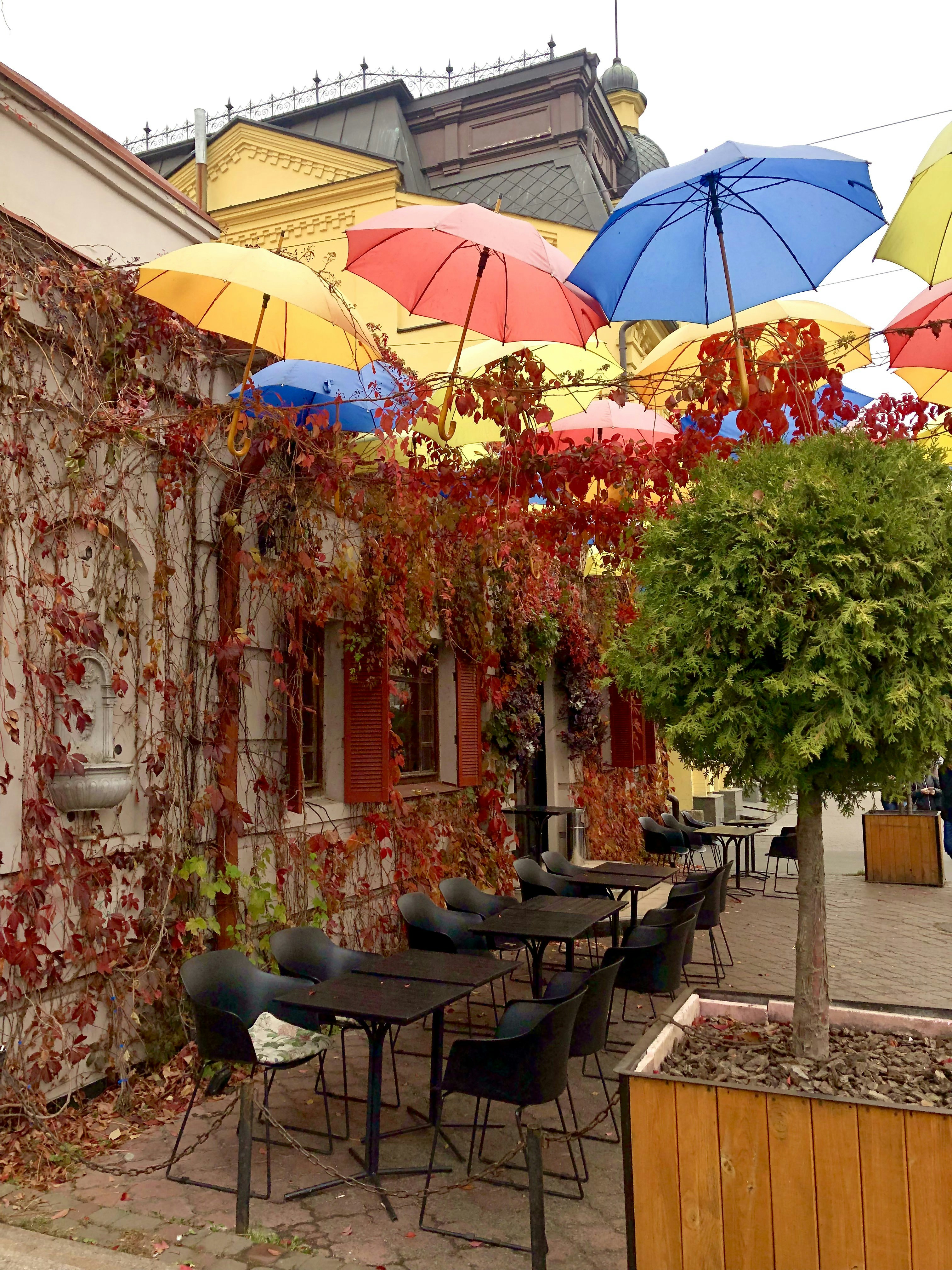 Photo by espoliakova