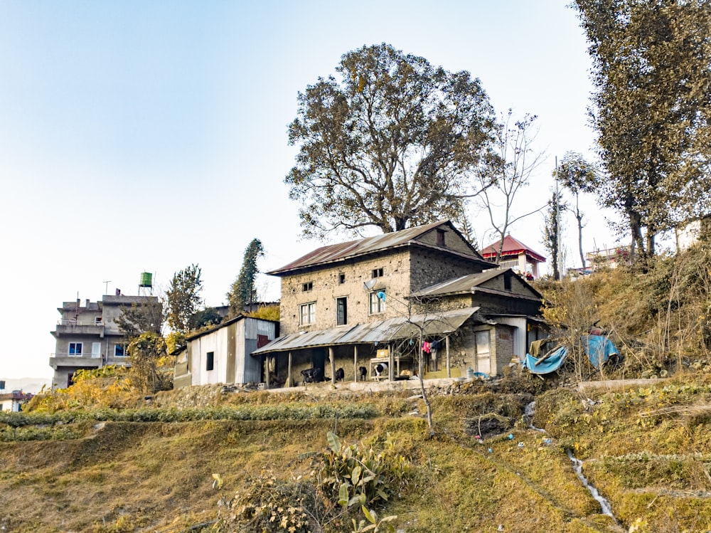 a house sitting on top of a lush green hillside