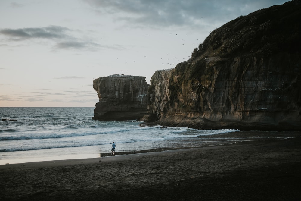 una persona parada en una playa junto al océano