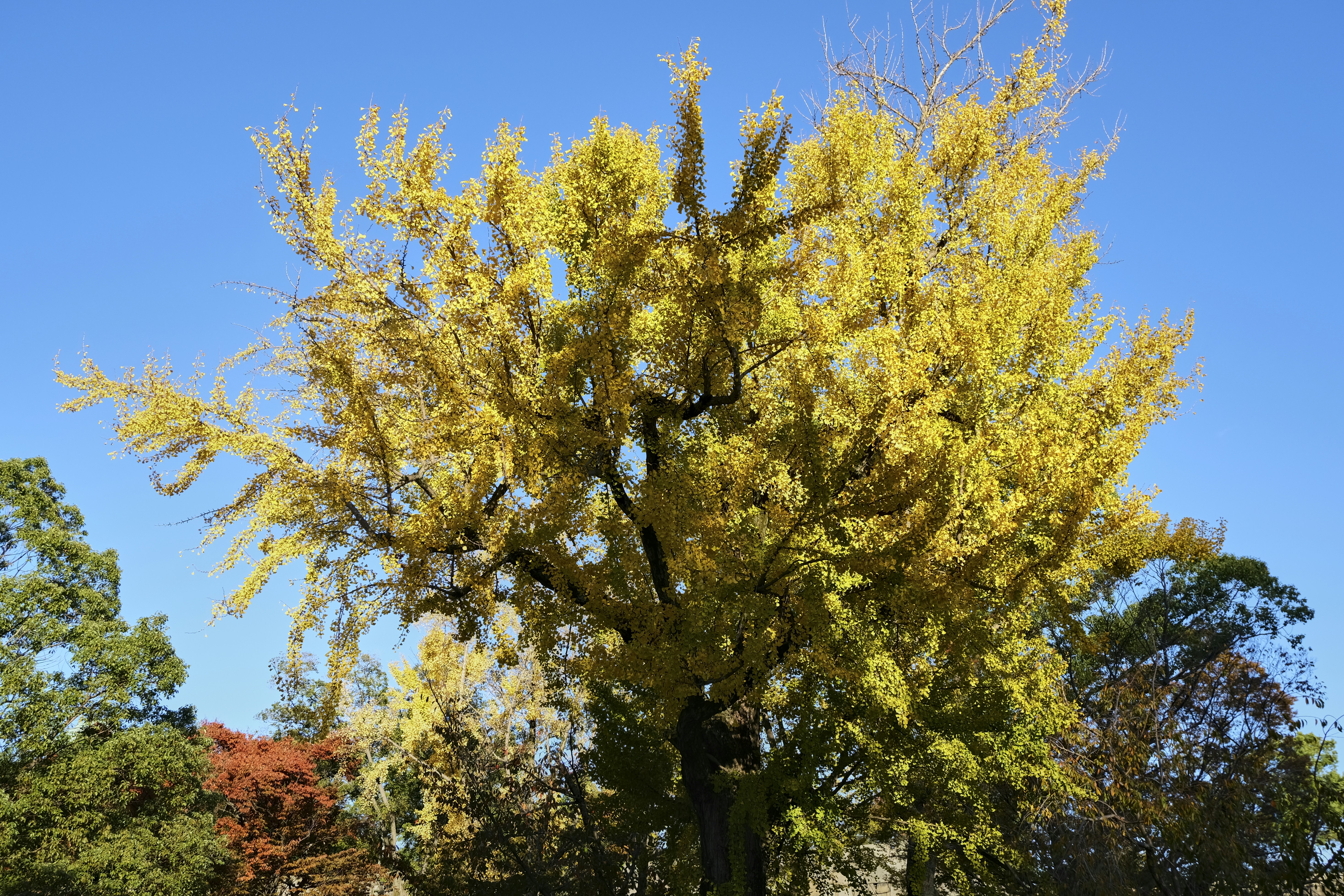 Photo by rebeccaclarke