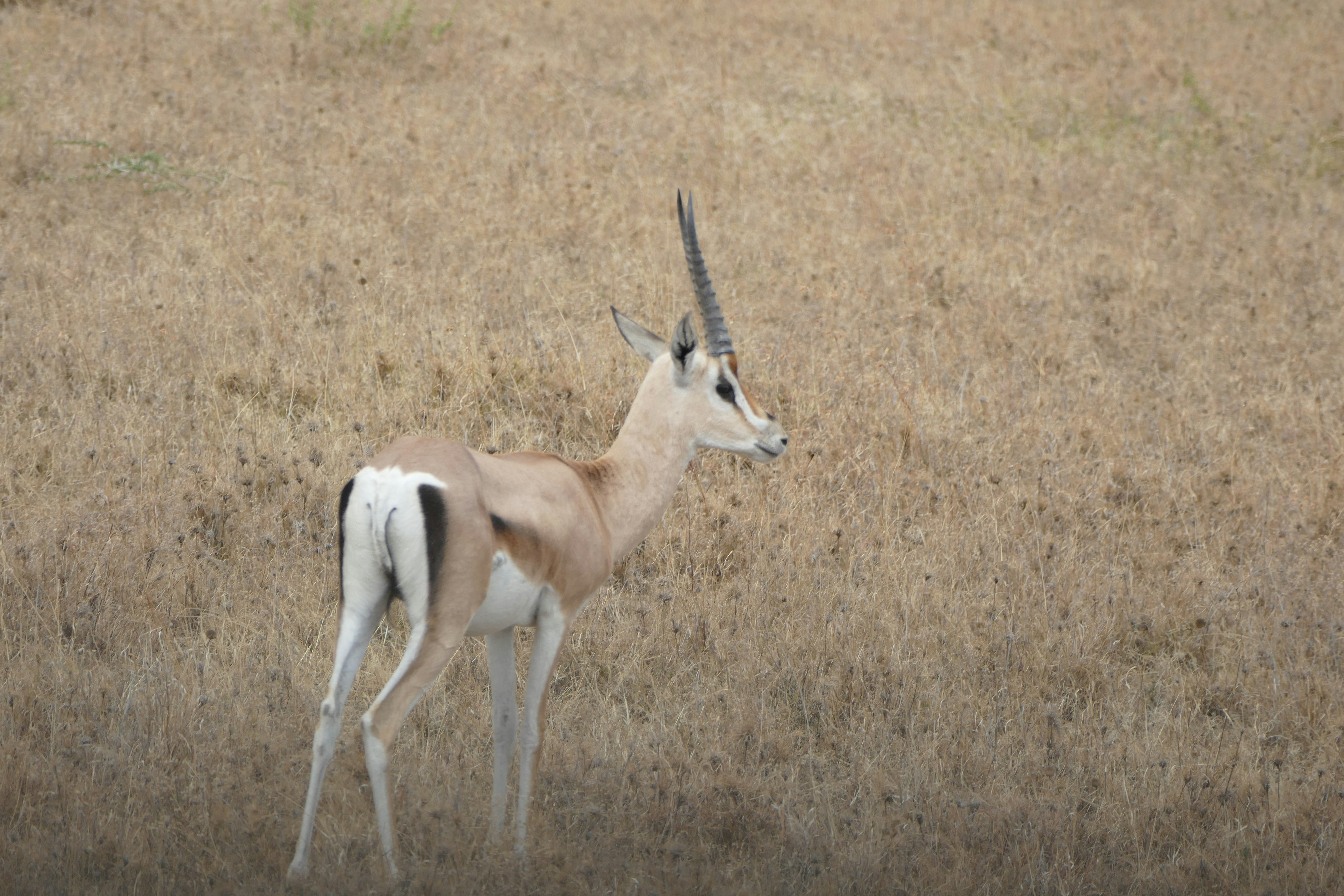 Photo by traveltheplaneteu